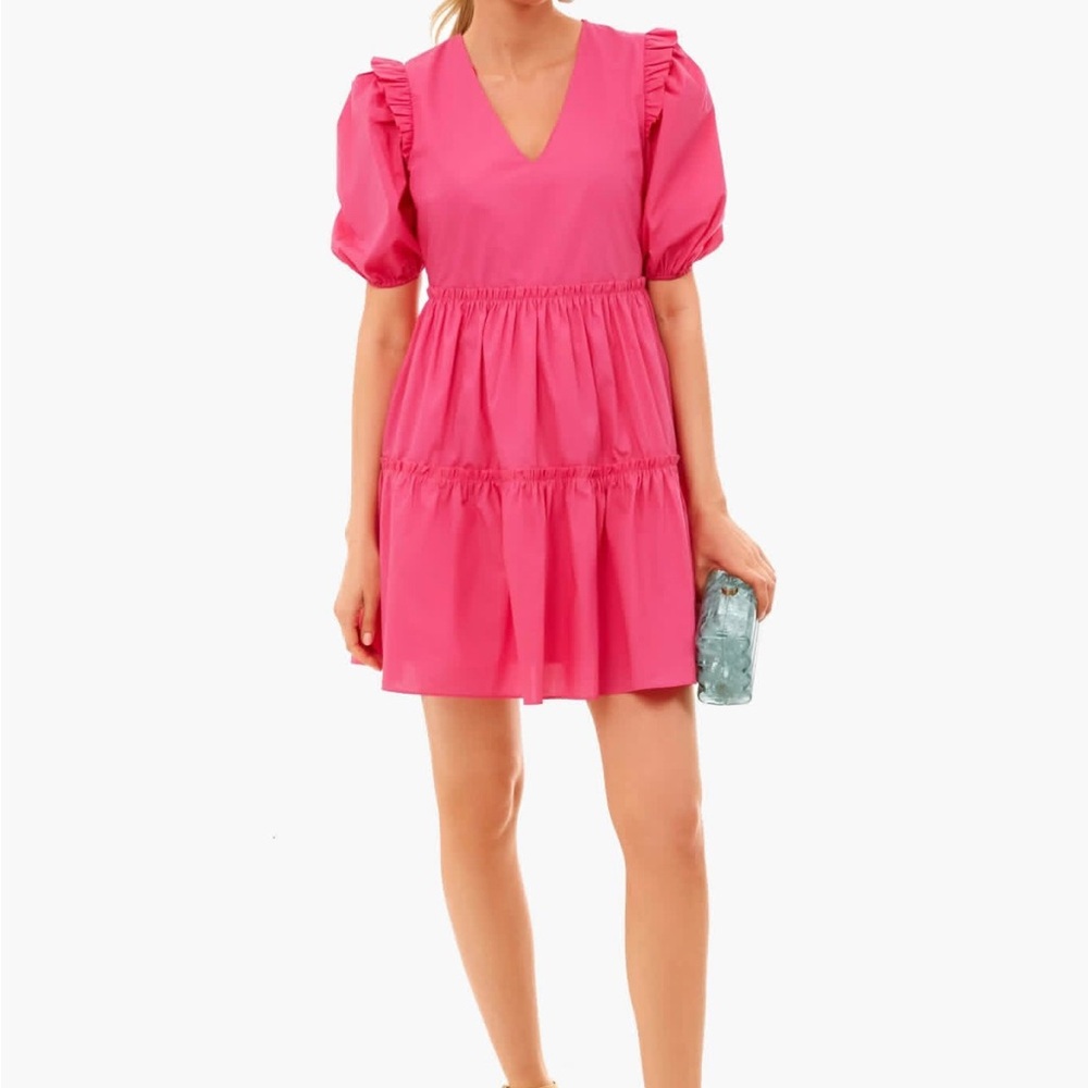 Tuckernuck Pink Ruffle Sleeve Dress